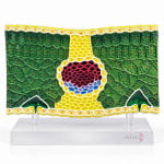 Dicot Leaf VS